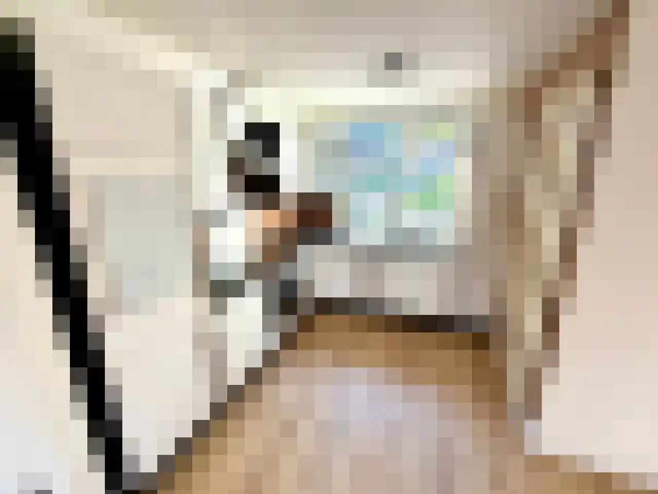 Fossielenerf 90 Heerlen thumbnail 5