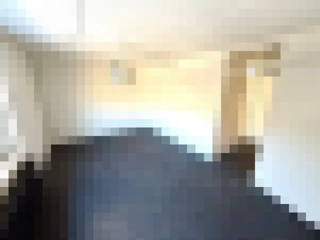 Fossielenerf 90 Heerlen thumbnail 8