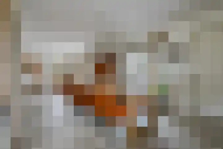 Fostedina 35 Twisk thumbnail 11