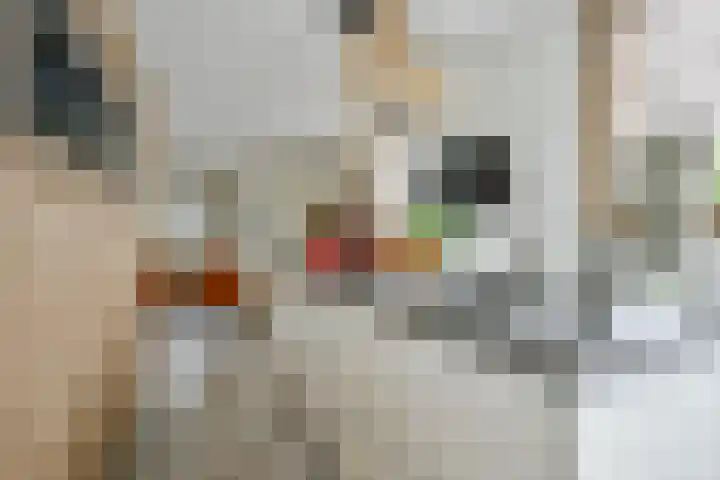 Fostedina 35 Twisk thumbnail 17