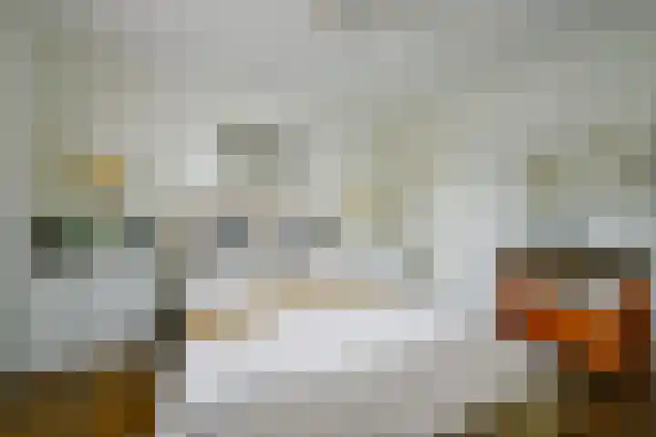 Fostedina 35 Twisk thumbnail 19