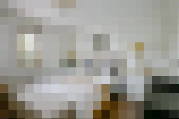 Fostedina 35 Twisk thumbnail 20