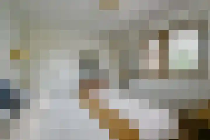 Fostedina 35 Twisk thumbnail 21
