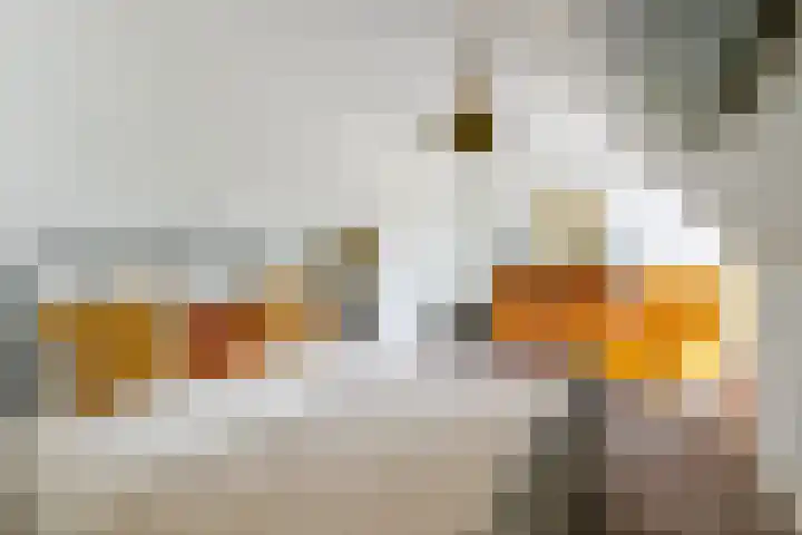 Fostedina 35 Twisk thumbnail 26