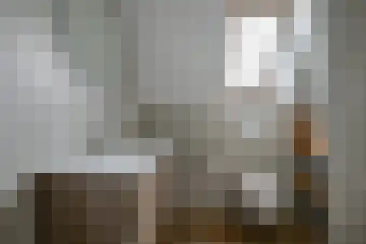 Fostedina 35 Twisk thumbnail 27