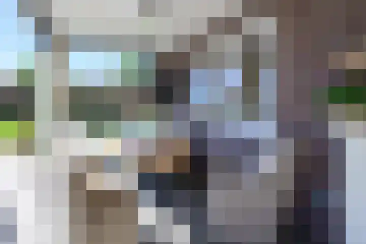 Fostedina 35 Twisk thumbnail 35