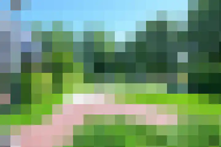 Fostedina 35 Twisk thumbnail 39
