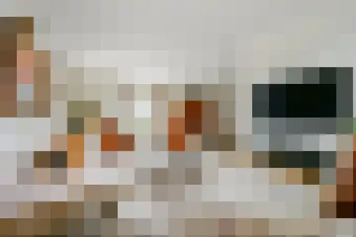 Fostedina 35 Twisk thumbnail 5