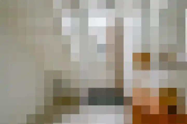 Fostedina 35 Twisk thumbnail 6