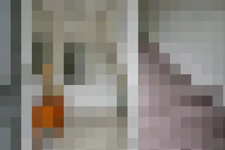 Fostedina 35 Twisk thumbnail 7