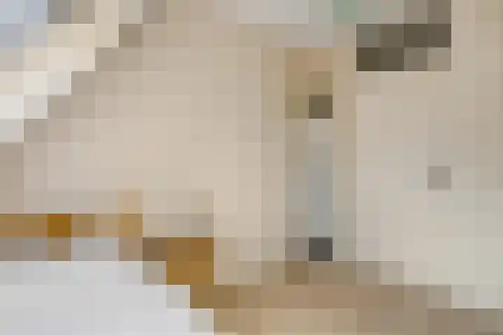 Foster Dullesdreef 39 Ede thumbnail 18