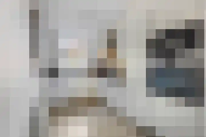 Foster Dullesdreef 39 Ede thumbnail 8