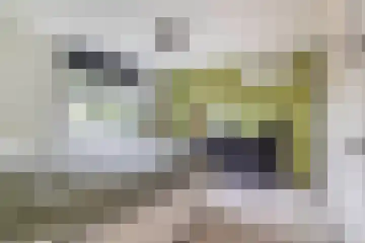 Foswerd 108 Drachten thumbnail 25
