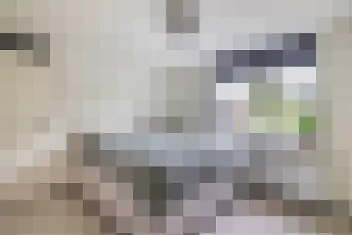 Foswerd 108 Drachten thumbnail 28