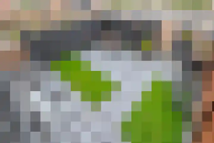 Foswerd 108 Drachten thumbnail 31