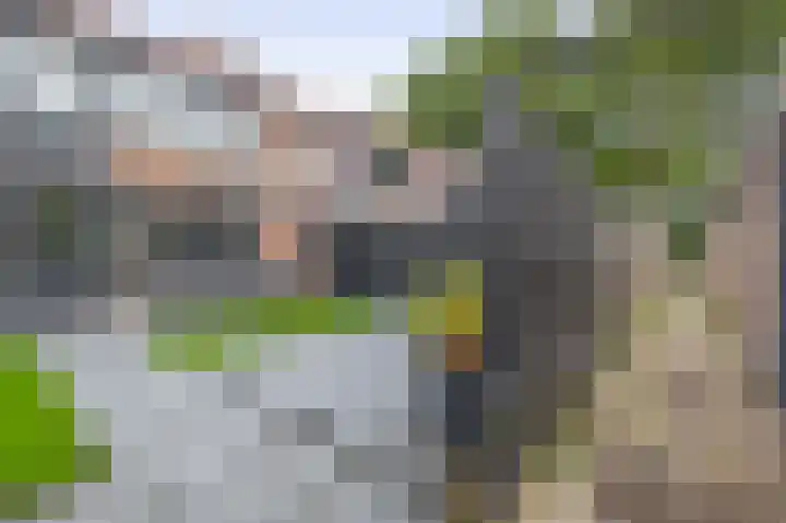 Foswerd 108 Drachten thumbnail 34