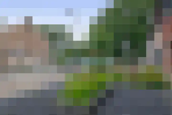 Foswerd 108 Drachten thumbnail 41