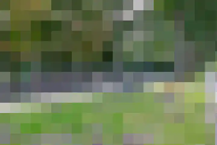 Foswerd 108 Drachten thumbnail 42