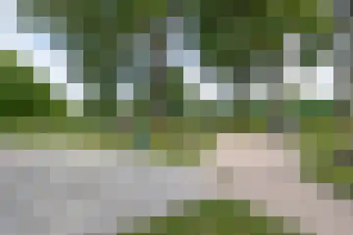 Foswerd 108 Drachten thumbnail 43
