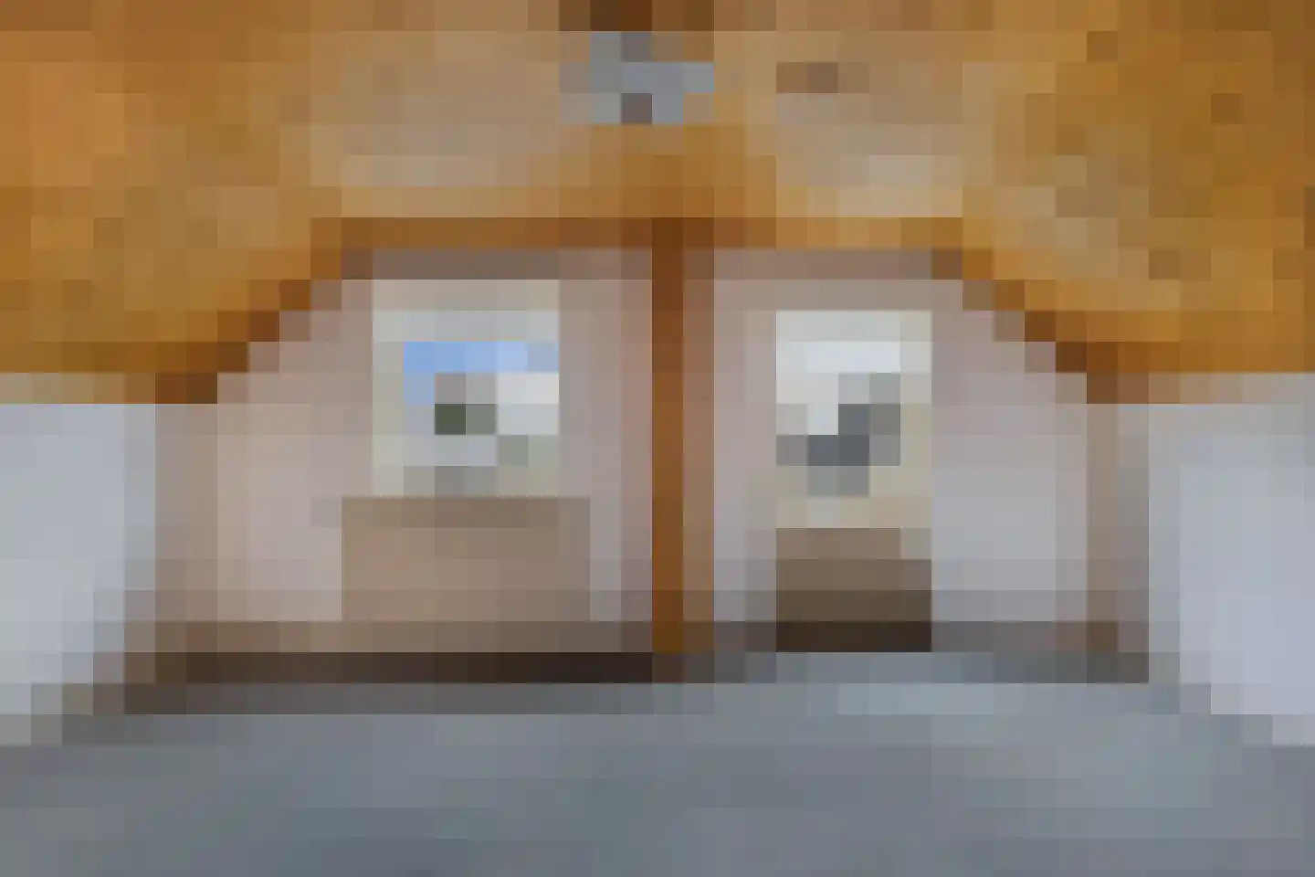Foswerd 17 Drachten thumbnail 27