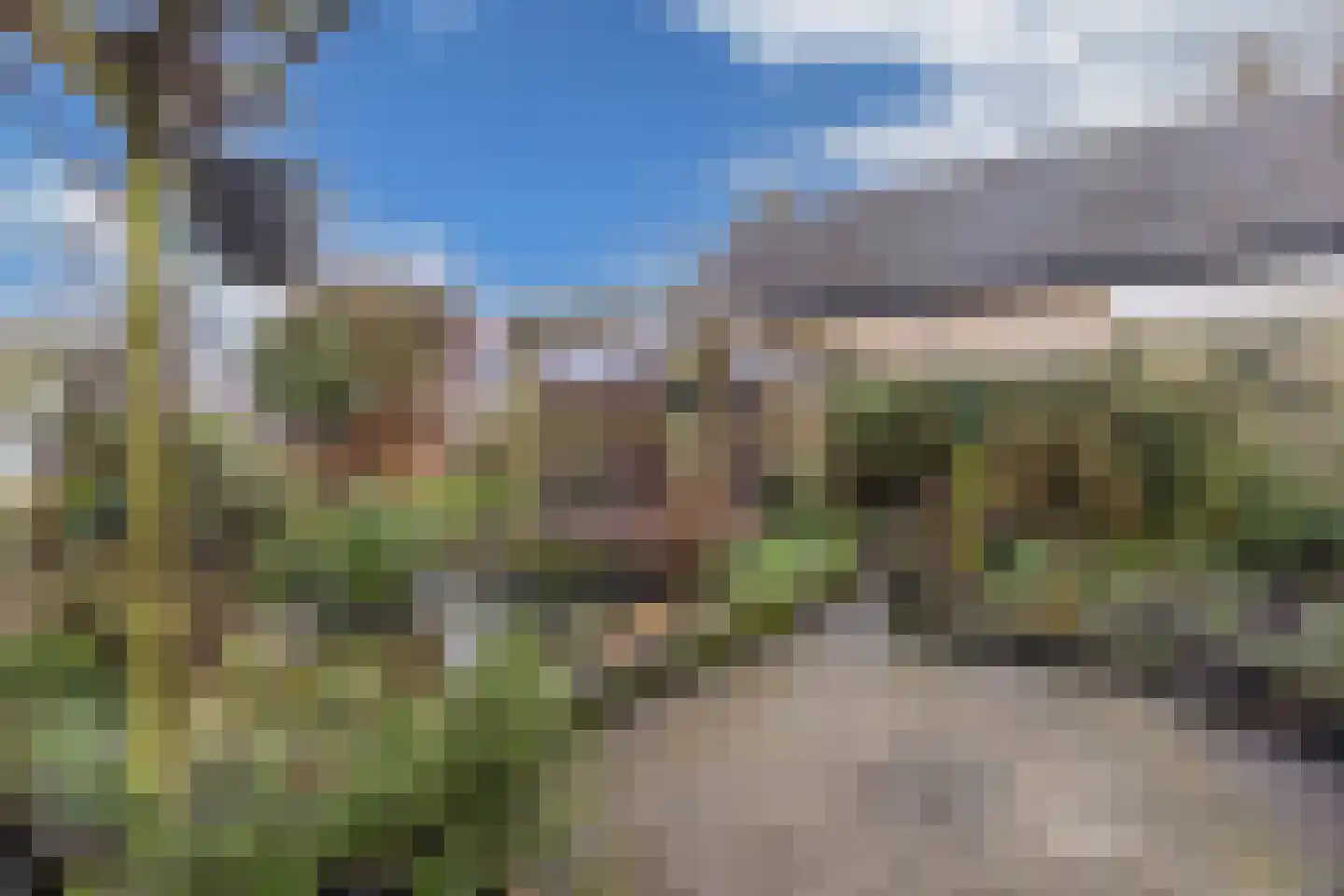 Foswerd 17 Drachten thumbnail 35