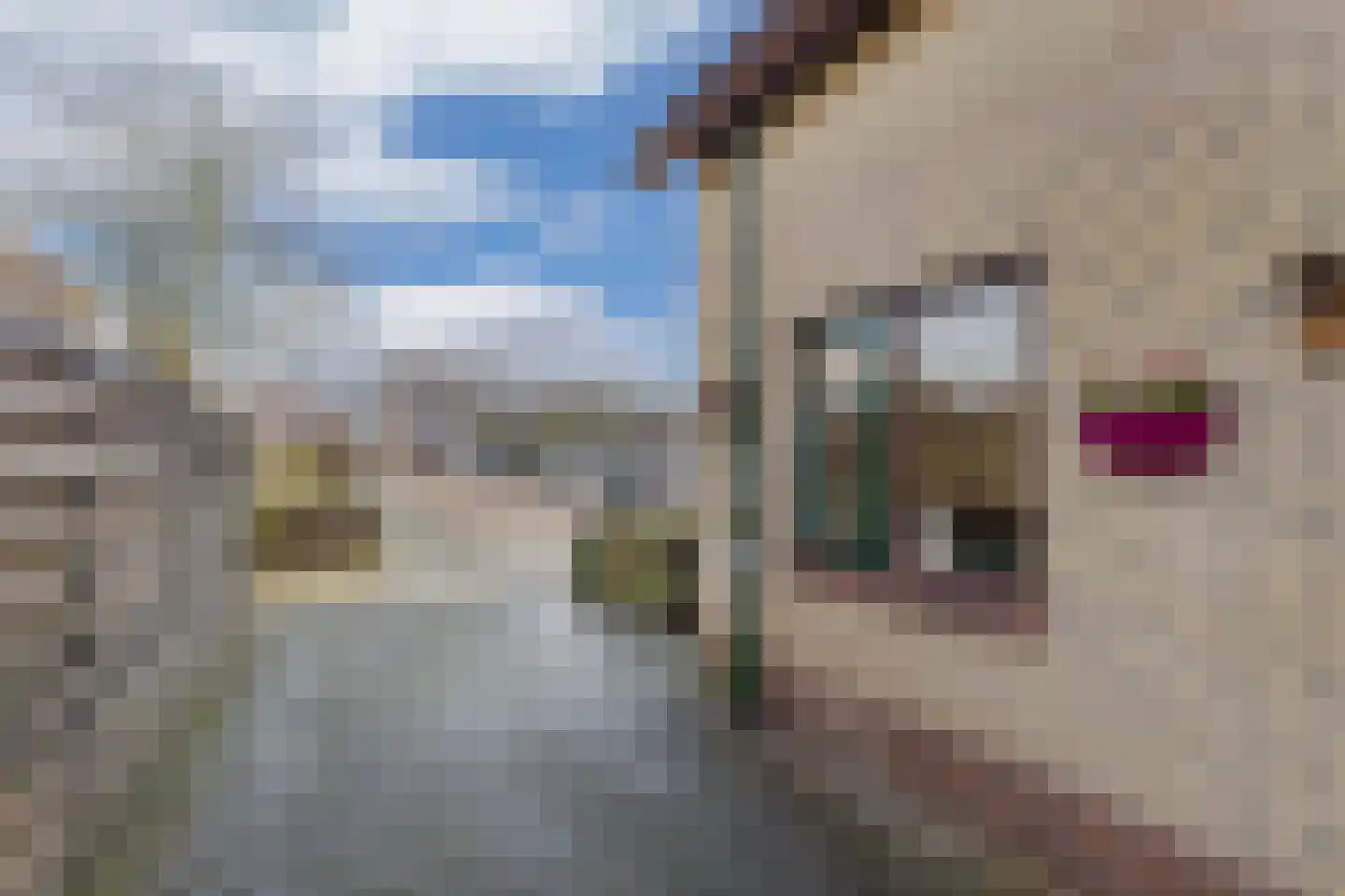 Foswerd 17 Drachten thumbnail 39
