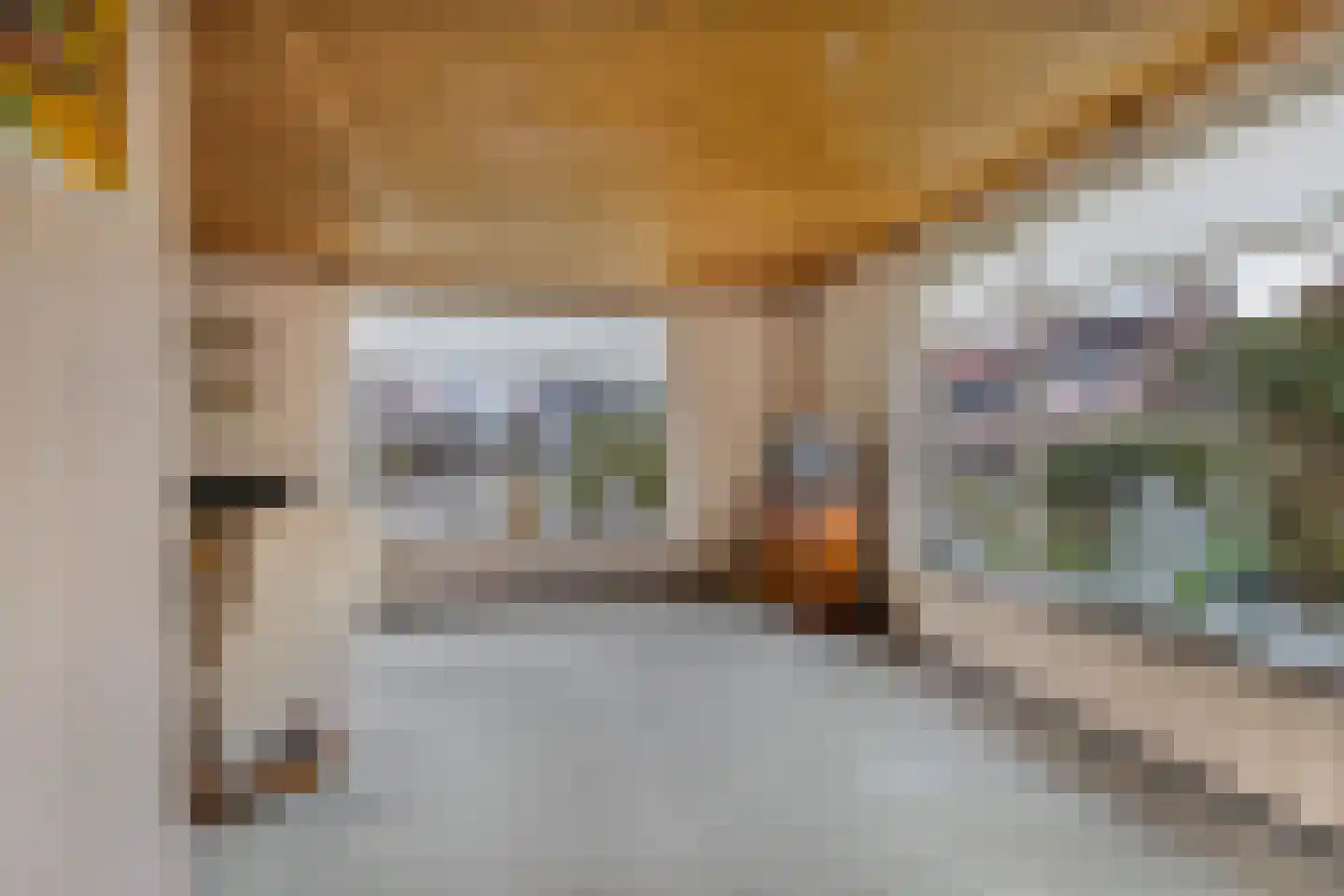 Foswerd 17 Drachten thumbnail 9