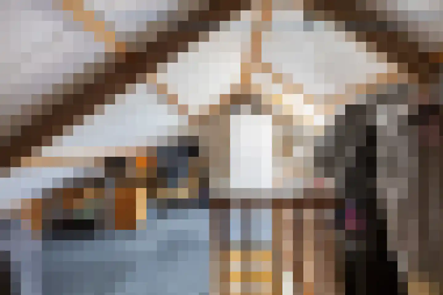 Foswerd 68 Drachten thumbnail 30