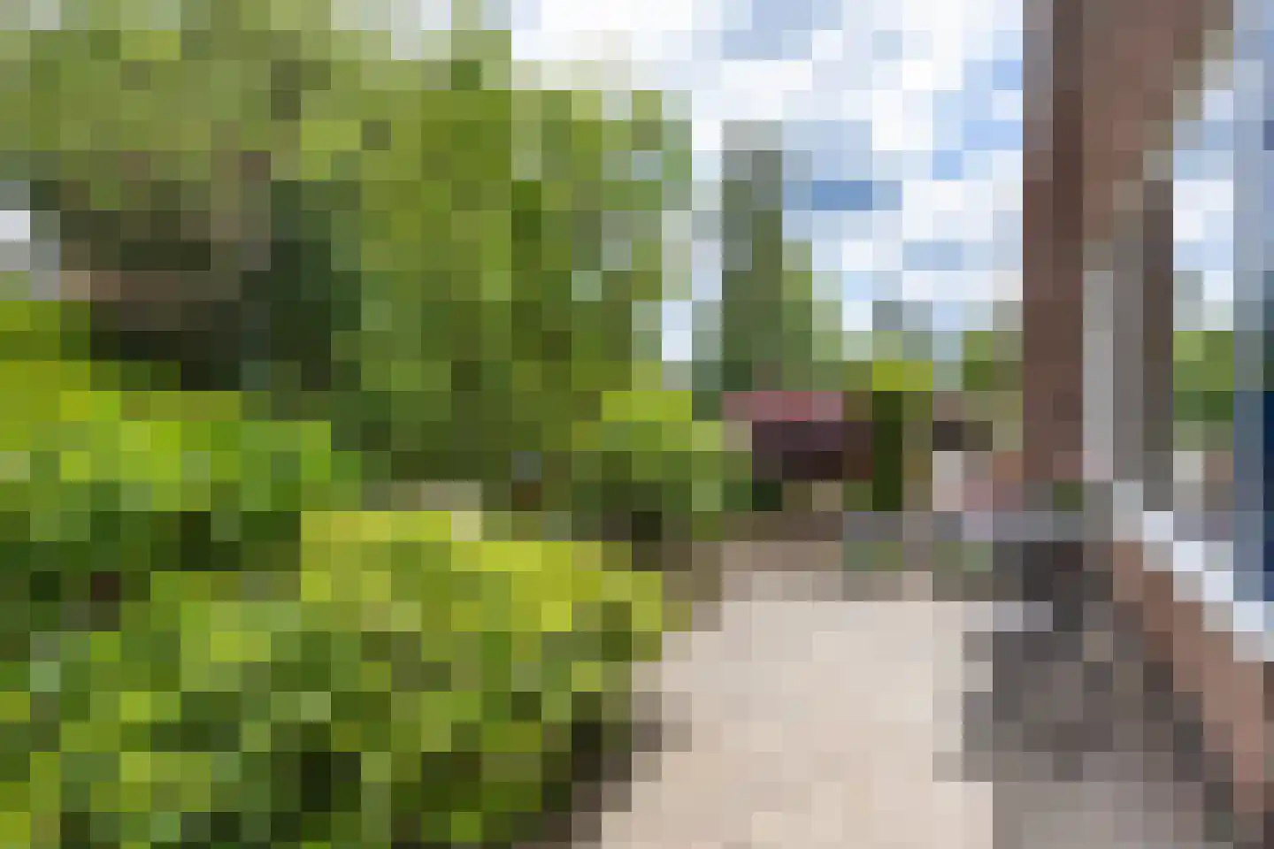 Foswerd 68 Drachten thumbnail 6