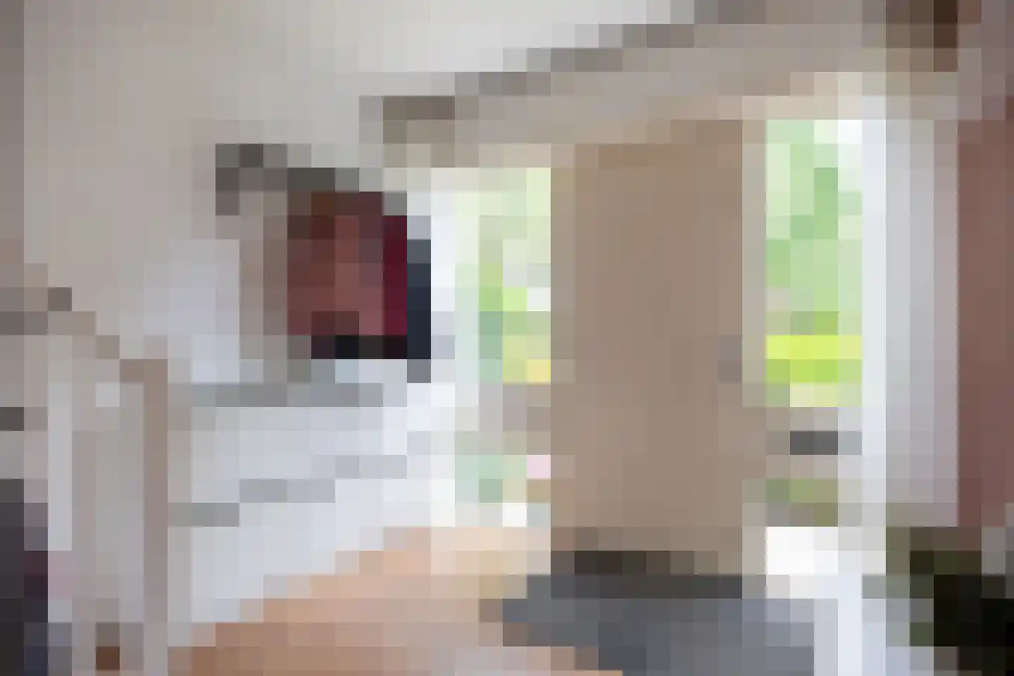 Foswerd 68 Drachten thumbnail 8
