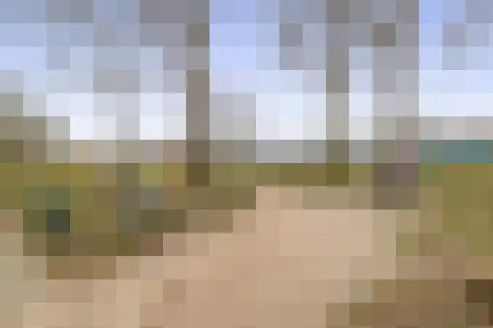 Foswerd 96 Drachten thumbnail 38