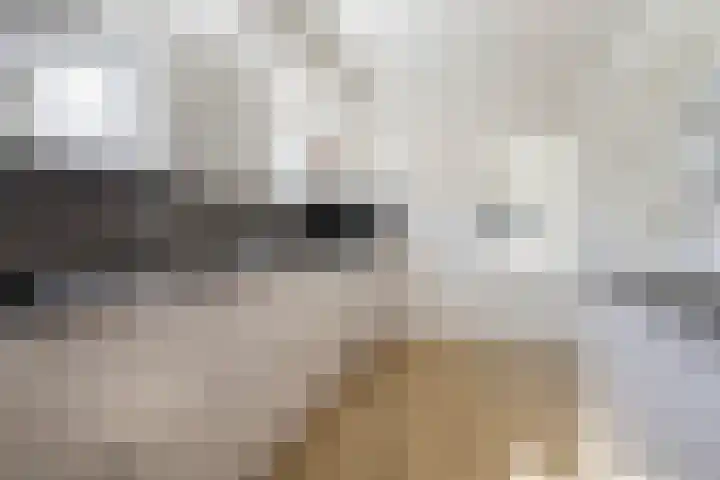 Foswerterstrjitte 12 Ferwert thumbnail 13