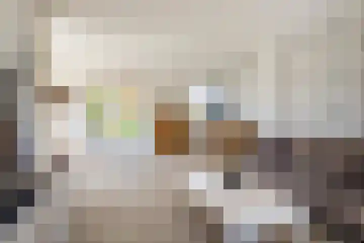 Foswerterstrjitte 12 Ferwert thumbnail 17