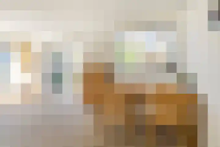 Foswerterstrjitte 12 Ferwert thumbnail 19