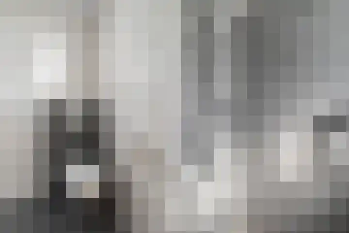Foswerterstrjitte 12 Ferwert thumbnail 29