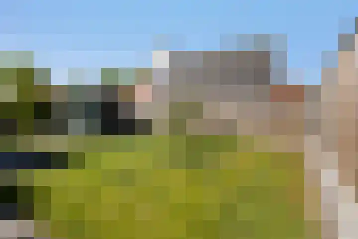 Foswerterstrjitte 12 Ferwert thumbnail 34