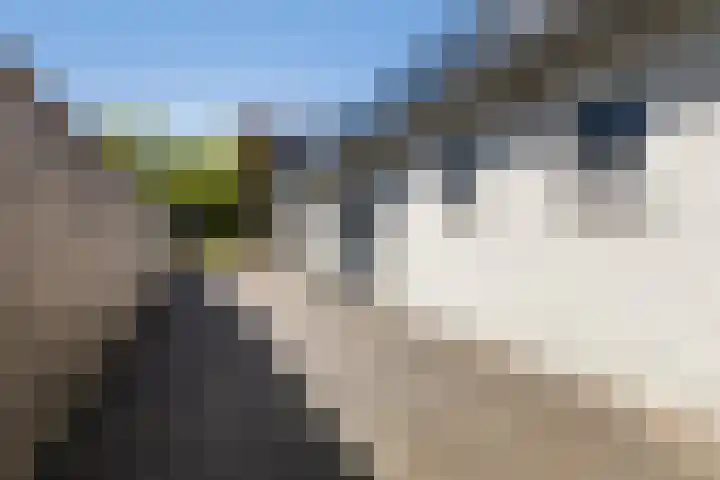 Foswerterstrjitte 12 Ferwert thumbnail 7