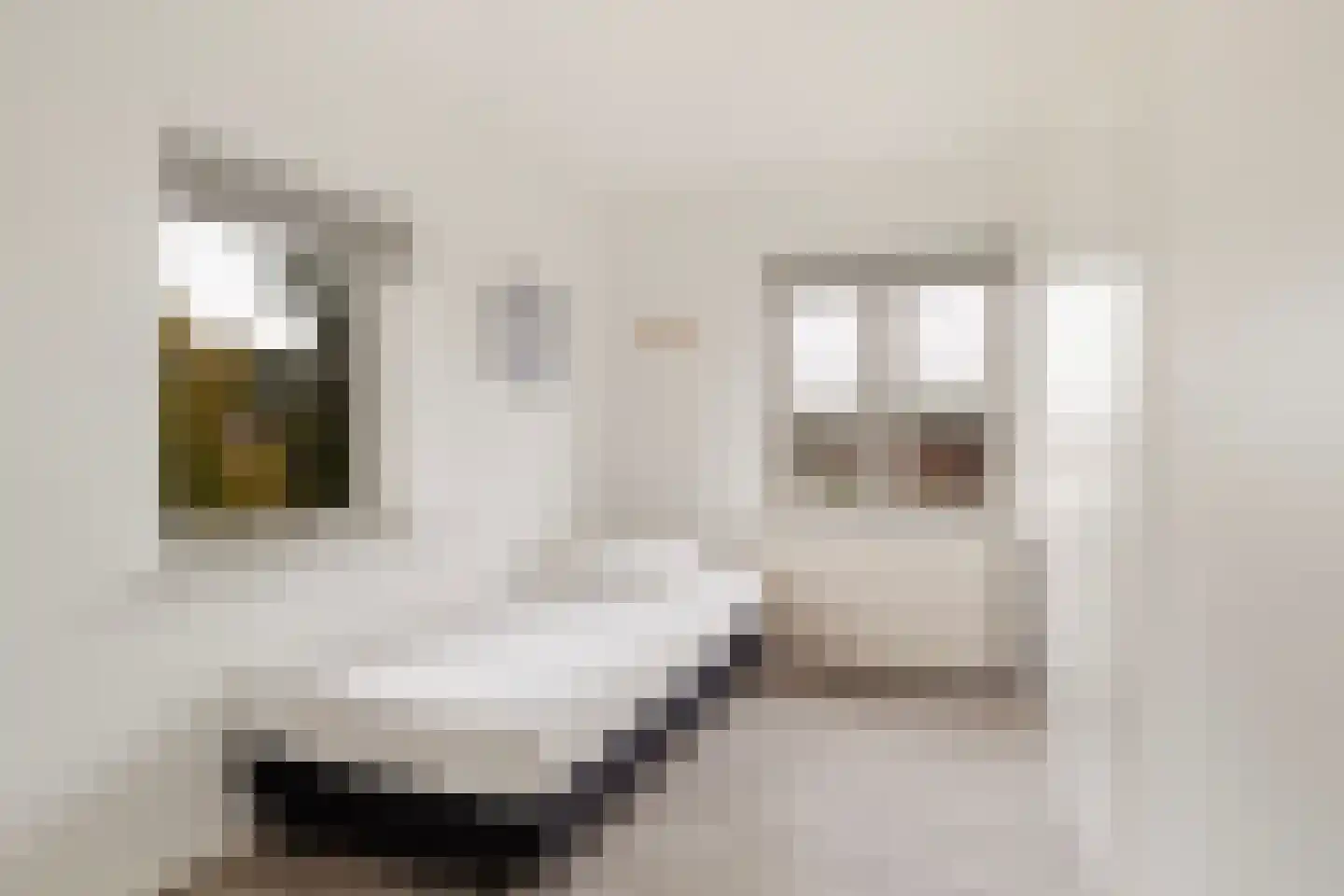 Foswerterstrjitte 40 Ferwert thumbnail 16