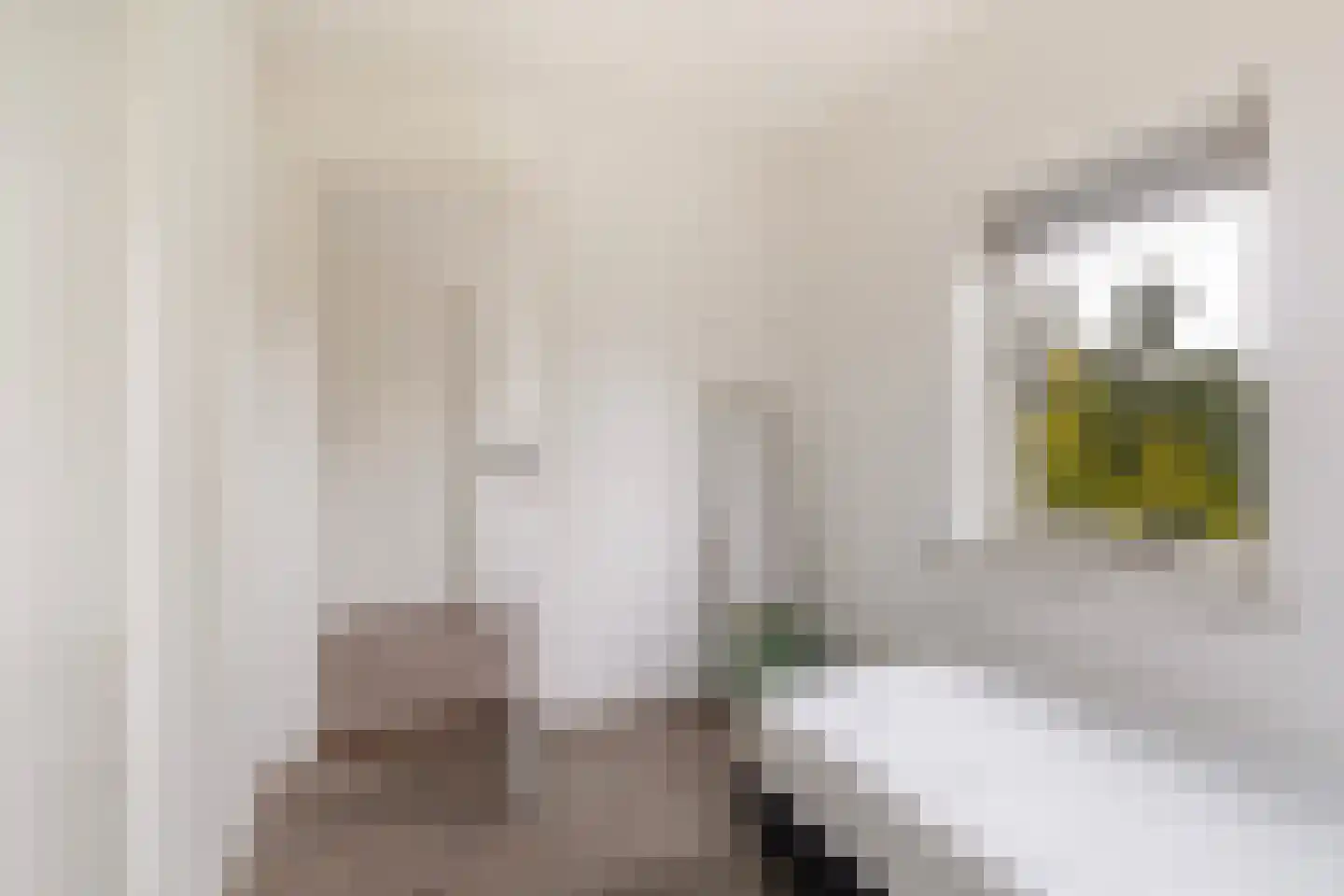 Foswerterstrjitte 40 Ferwert thumbnail 17
