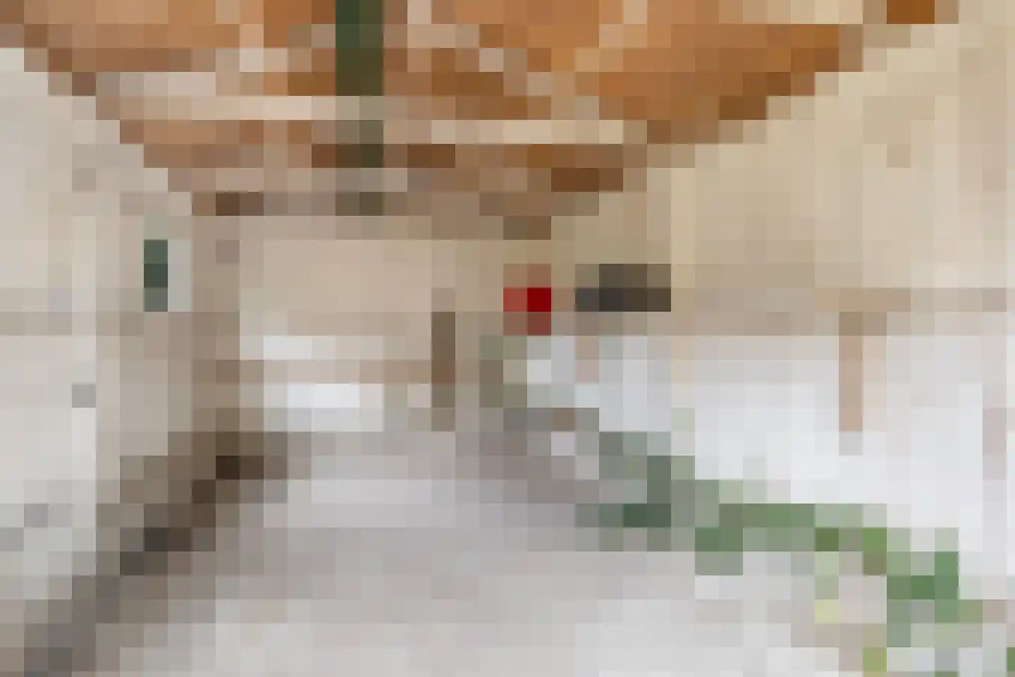 Foswerterstrjitte 40 Ferwert thumbnail 29