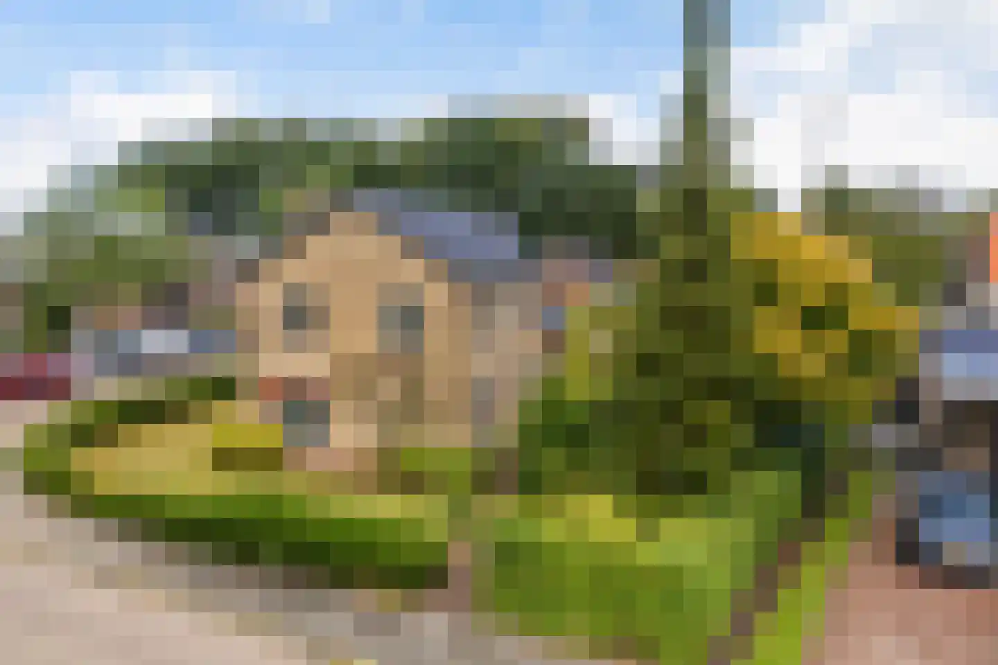 Foswerterstrjitte 40 Ferwert thumbnail 44