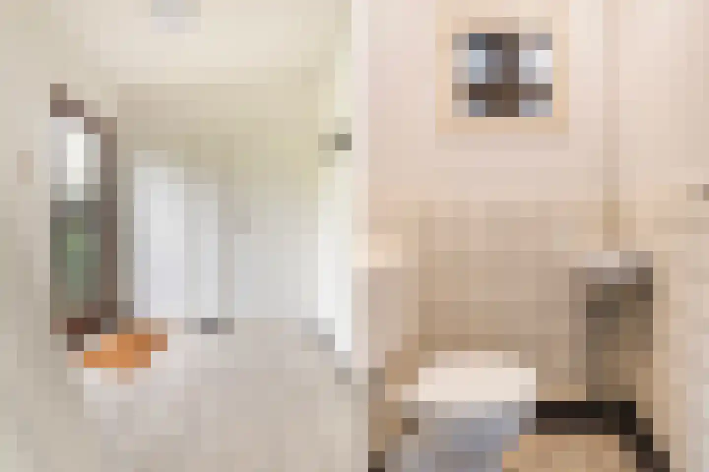 Foswerterstrjitte 40 Ferwert thumbnail 5