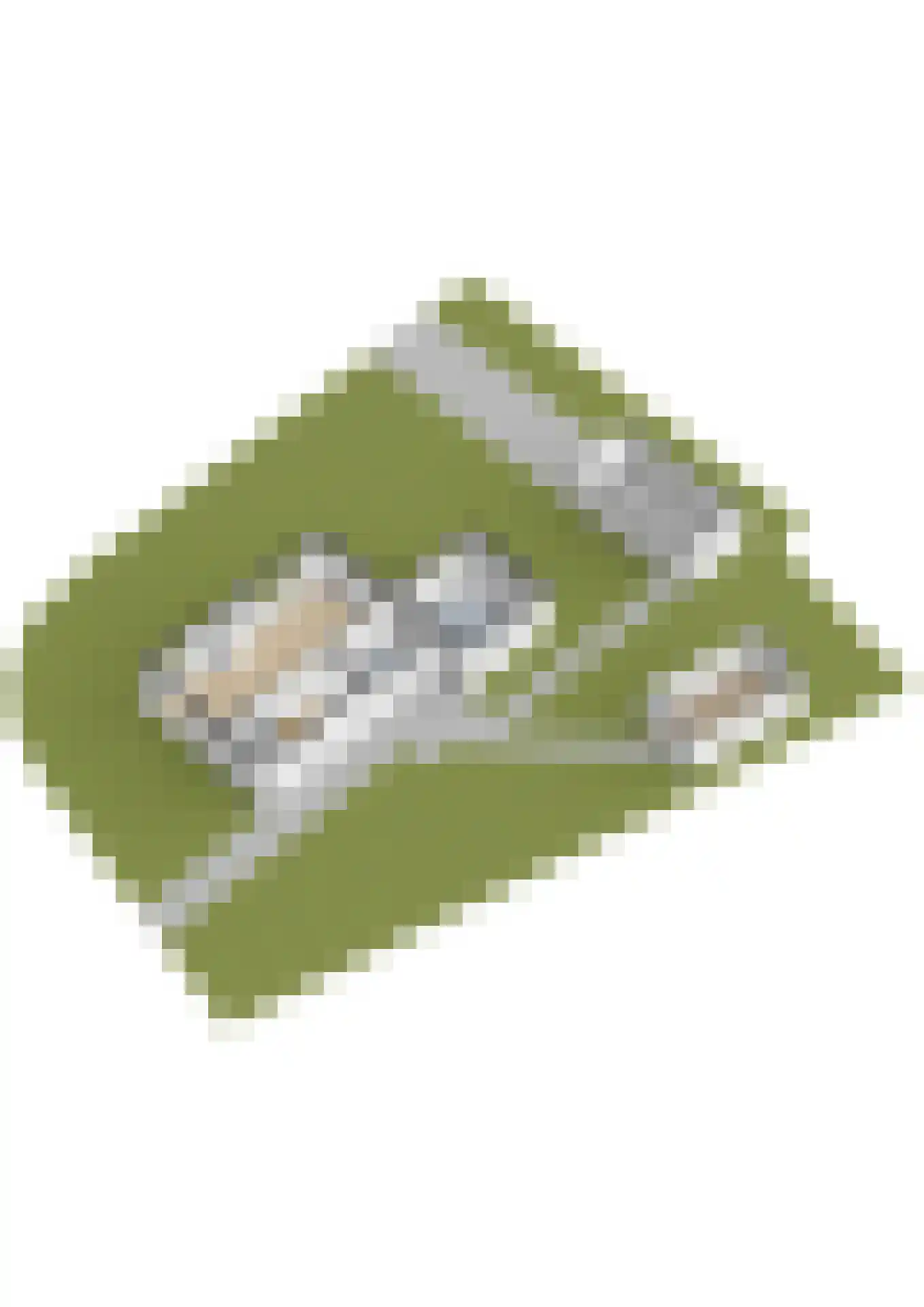 Foswerterstrjitte 40 Ferwert thumbnail 54