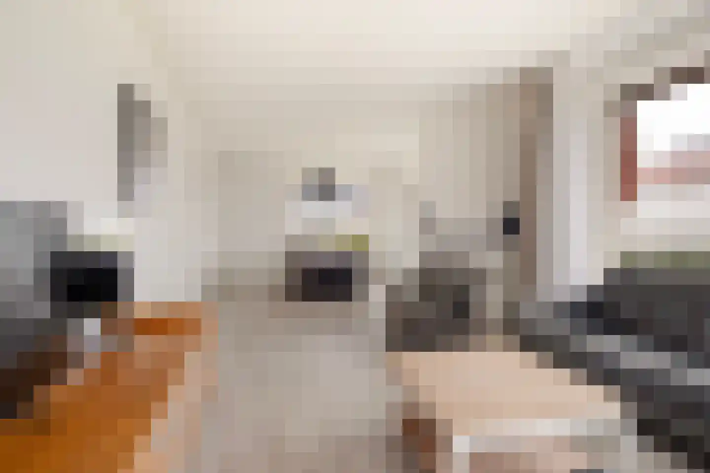 Foswerterstrjitte 40 Ferwert thumbnail 8