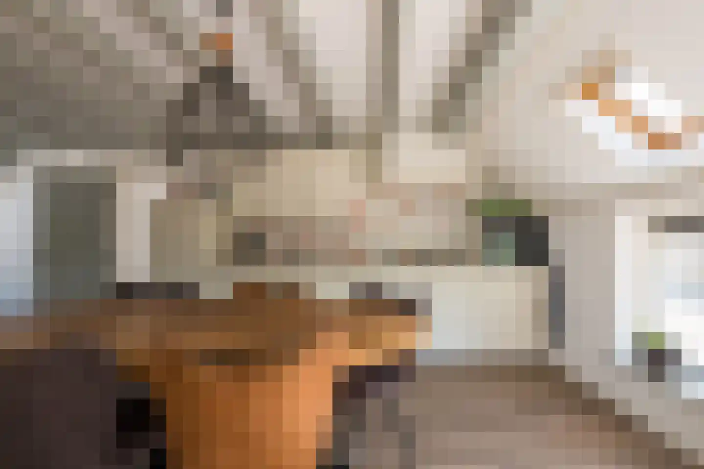 Foudenswei 26 Rottevalle thumbnail 12