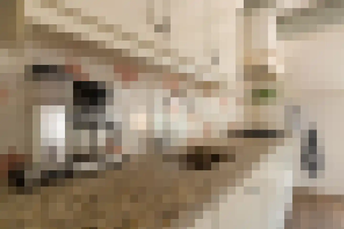 Foudenswei 26 Rottevalle thumbnail 17