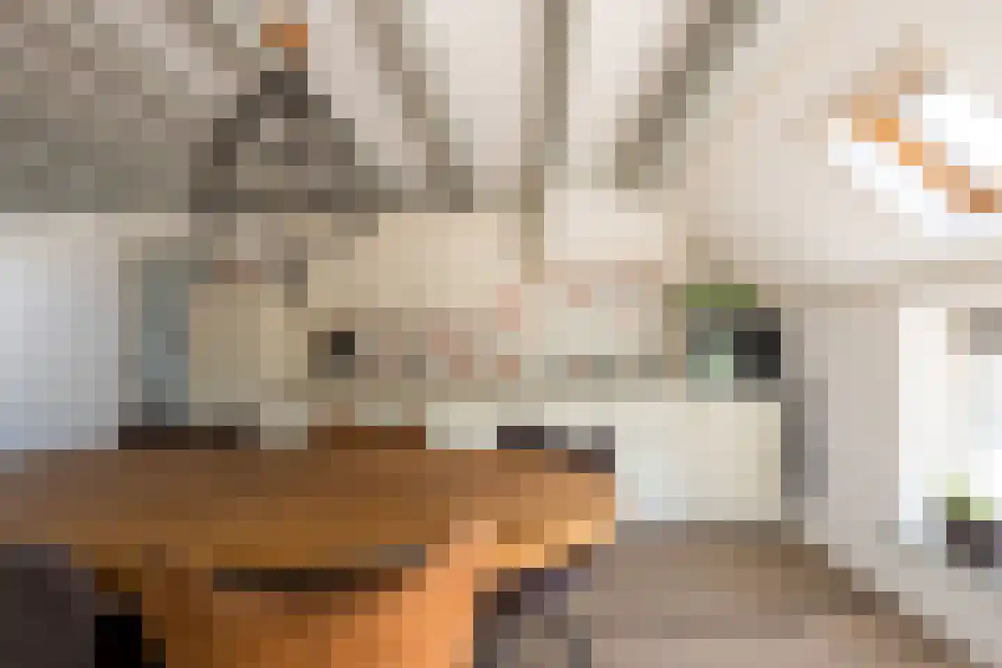 Foudenswei 26 Rottevalle thumbnail 18