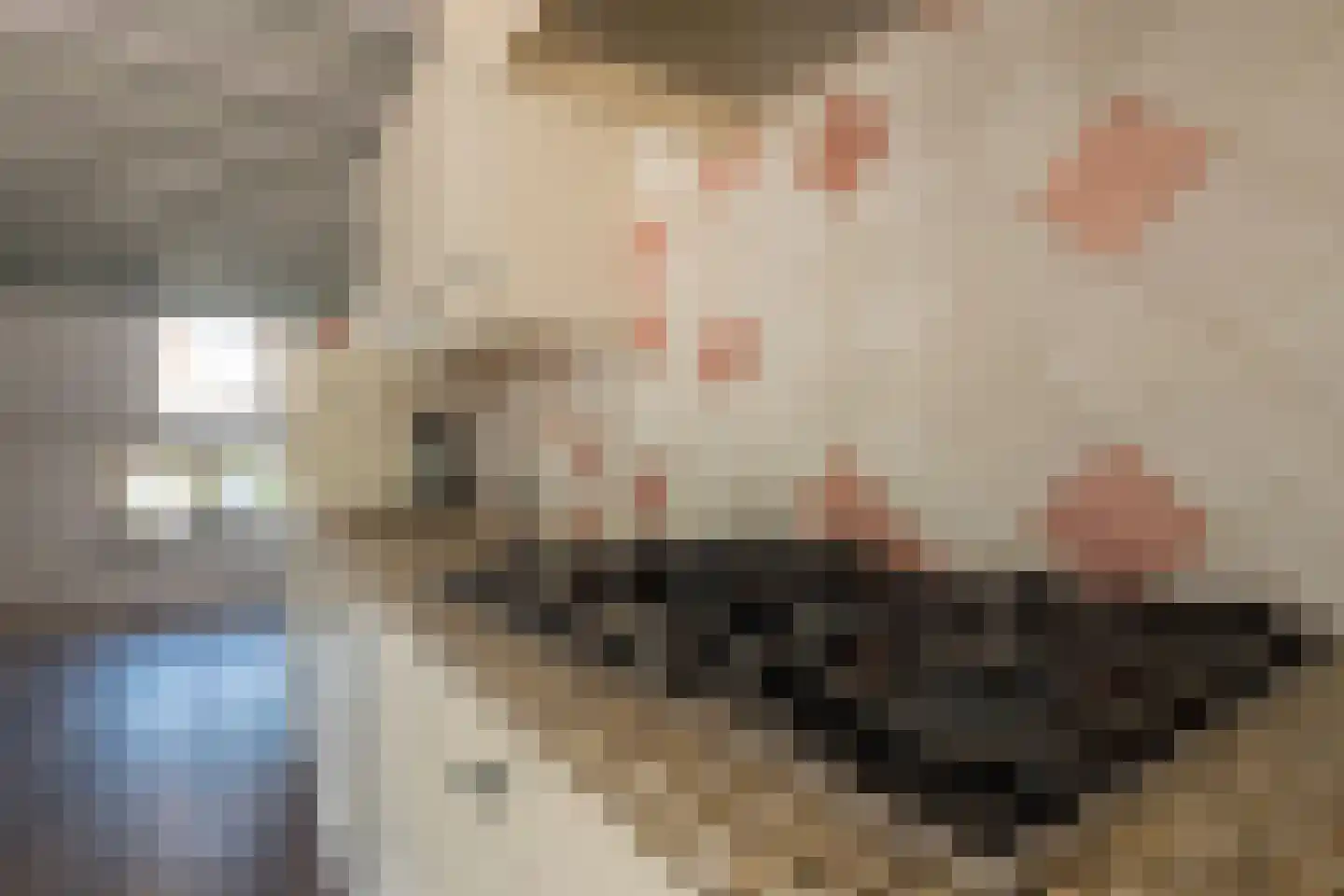 Foudenswei 26 Rottevalle thumbnail 19