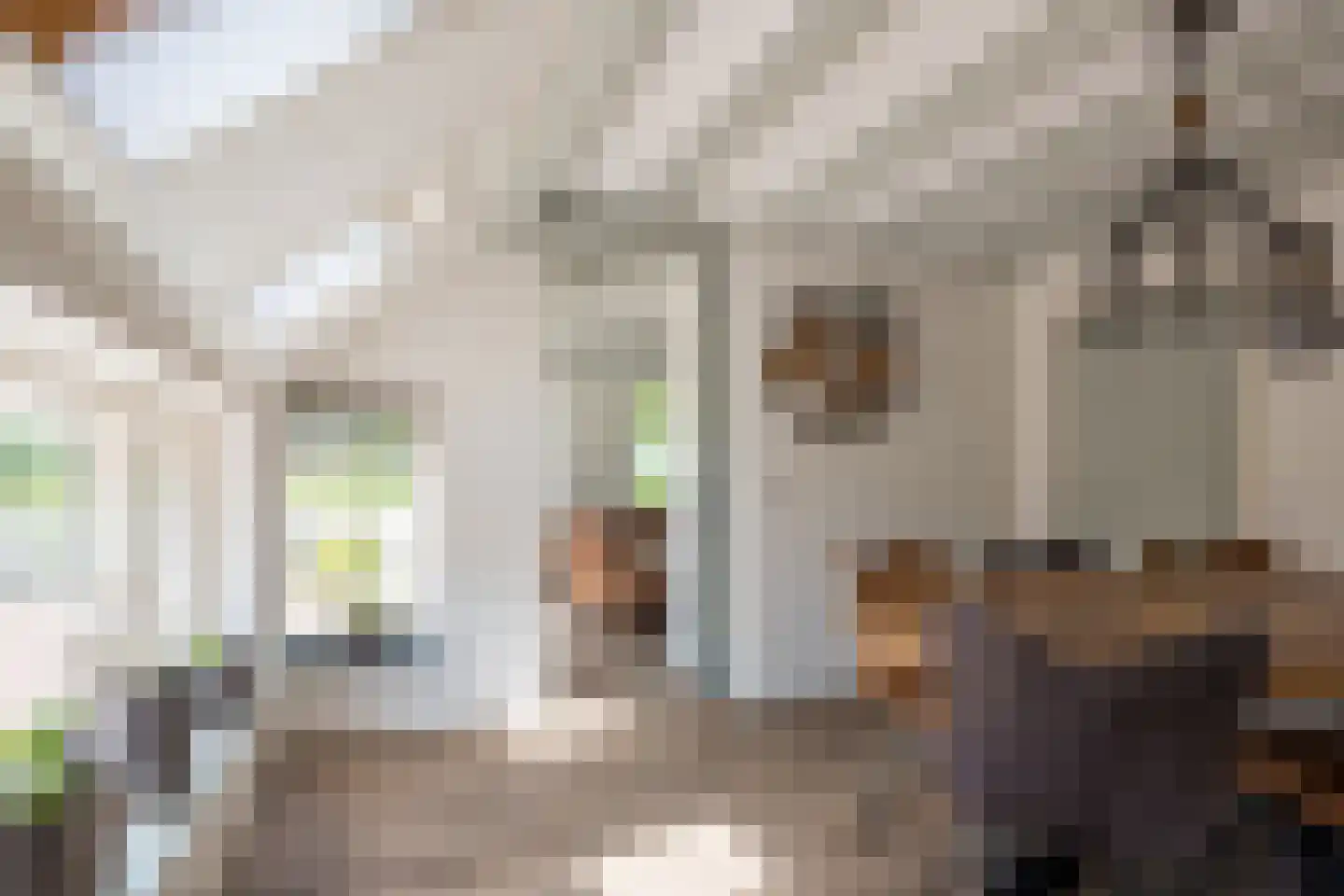 Foudenswei 26 Rottevalle thumbnail 22