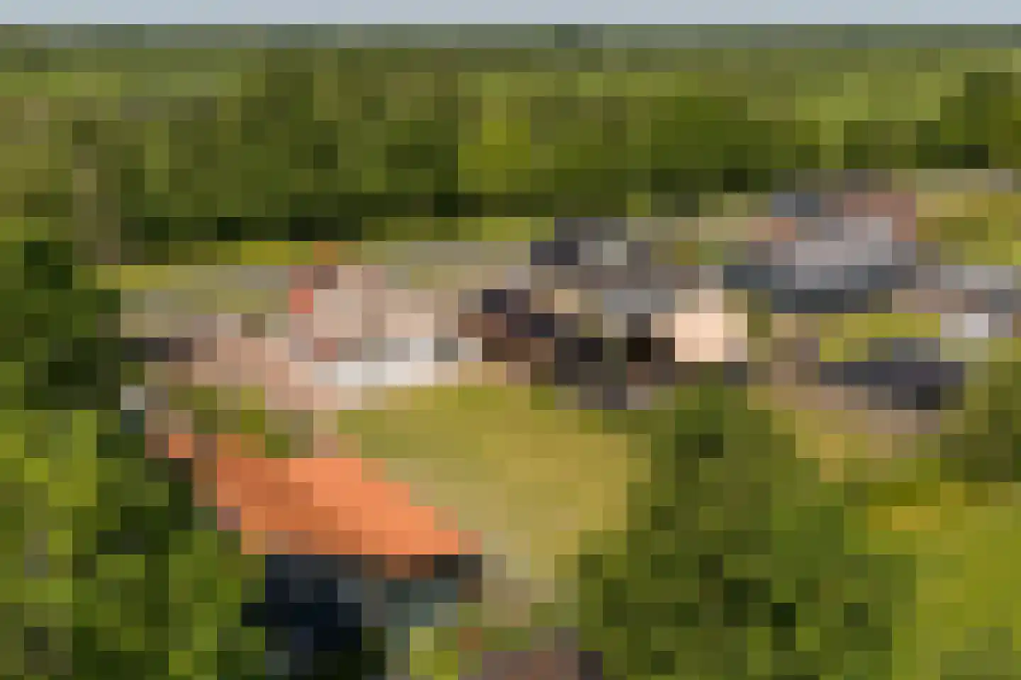 Foudenswei 26 Rottevalle thumbnail 44